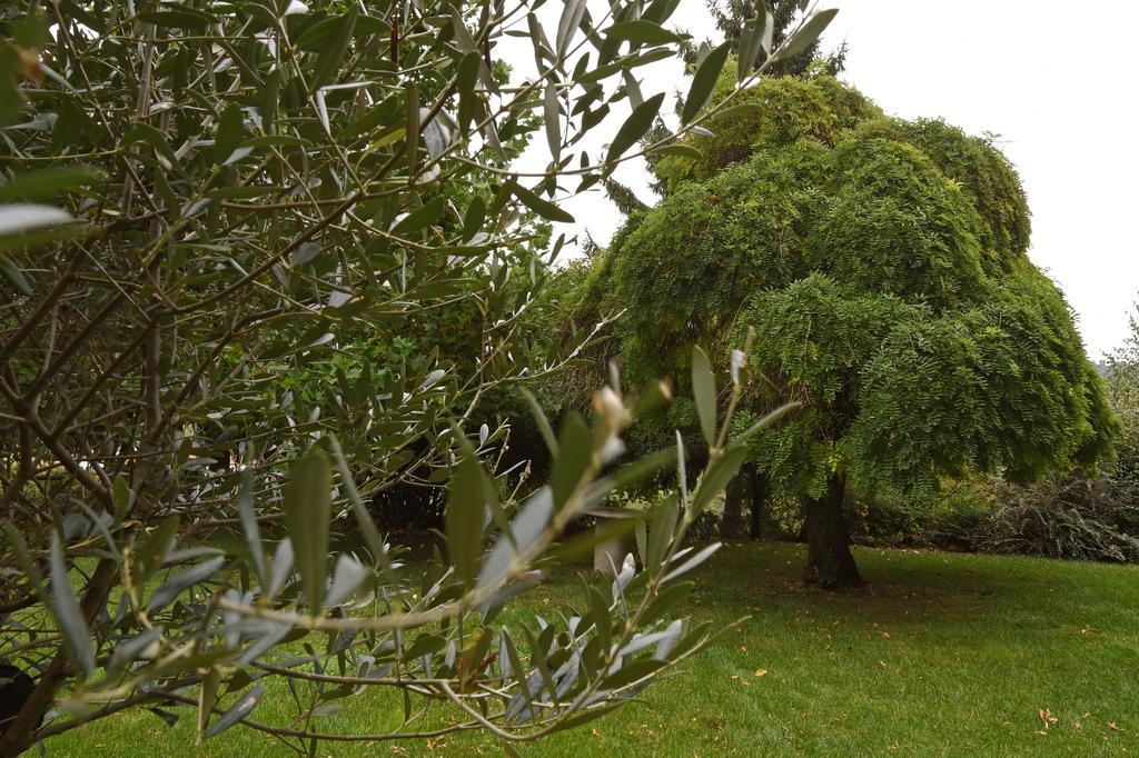 Villa Durando Mondovì Buitenkant foto