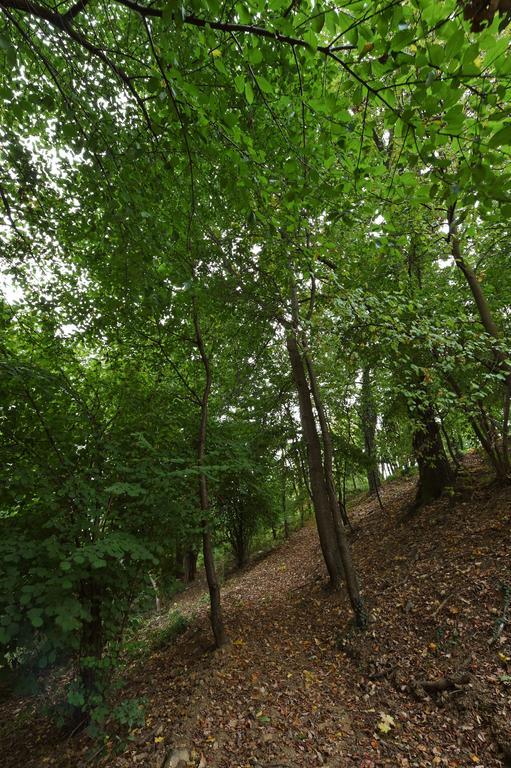 Villa Durando Mondovì Buitenkant foto